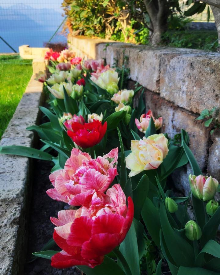 Appartamento Anna Brenzone sul Garda Buitenkant foto