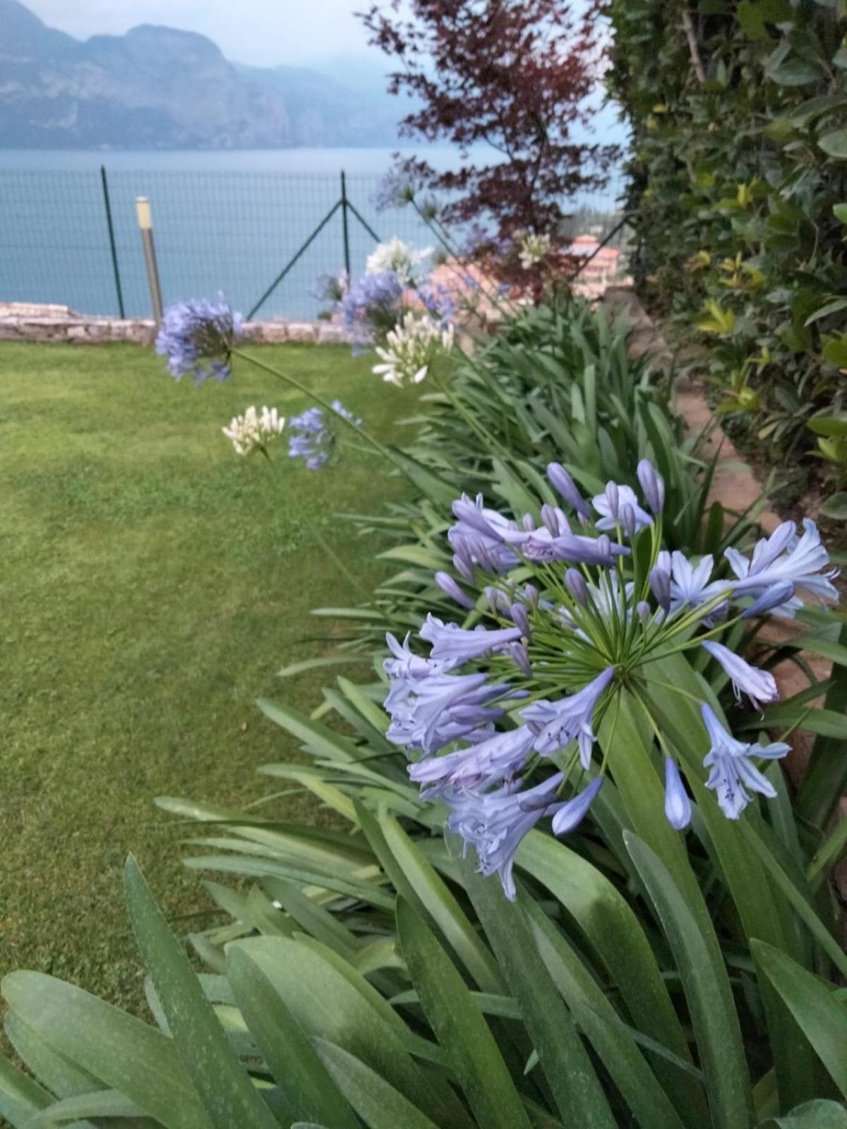 Appartamento Anna Brenzone sul Garda Buitenkant foto