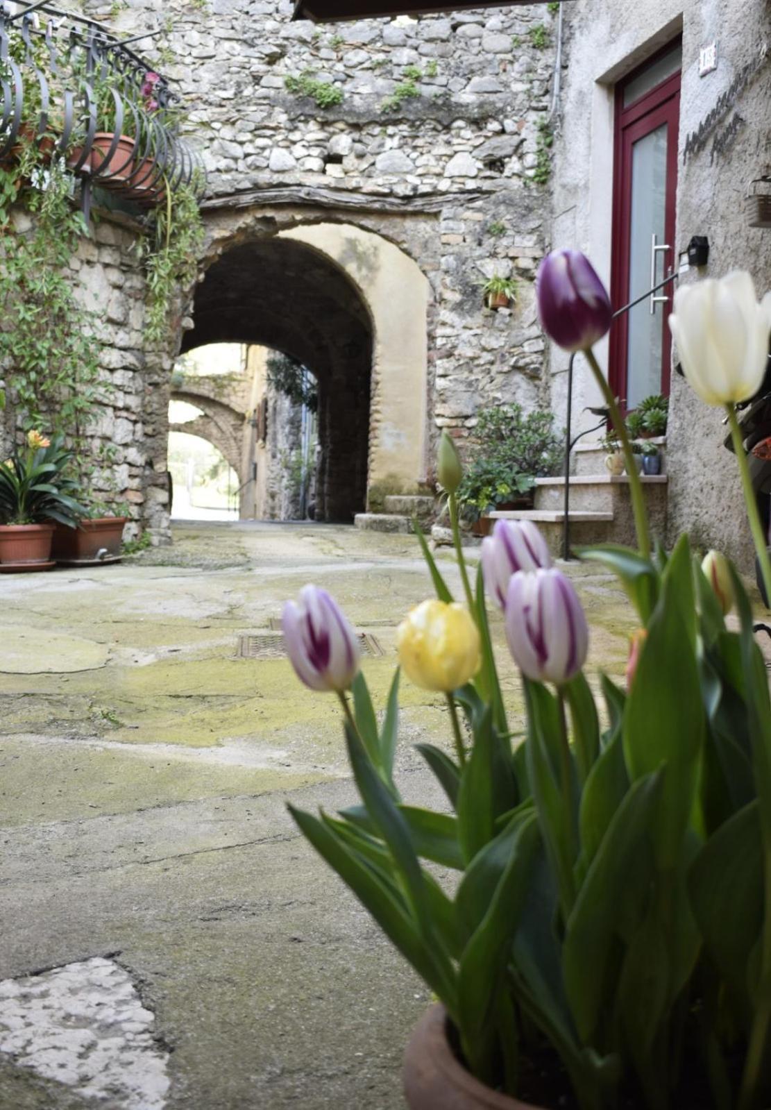 Appartamento Anna Brenzone sul Garda Buitenkant foto