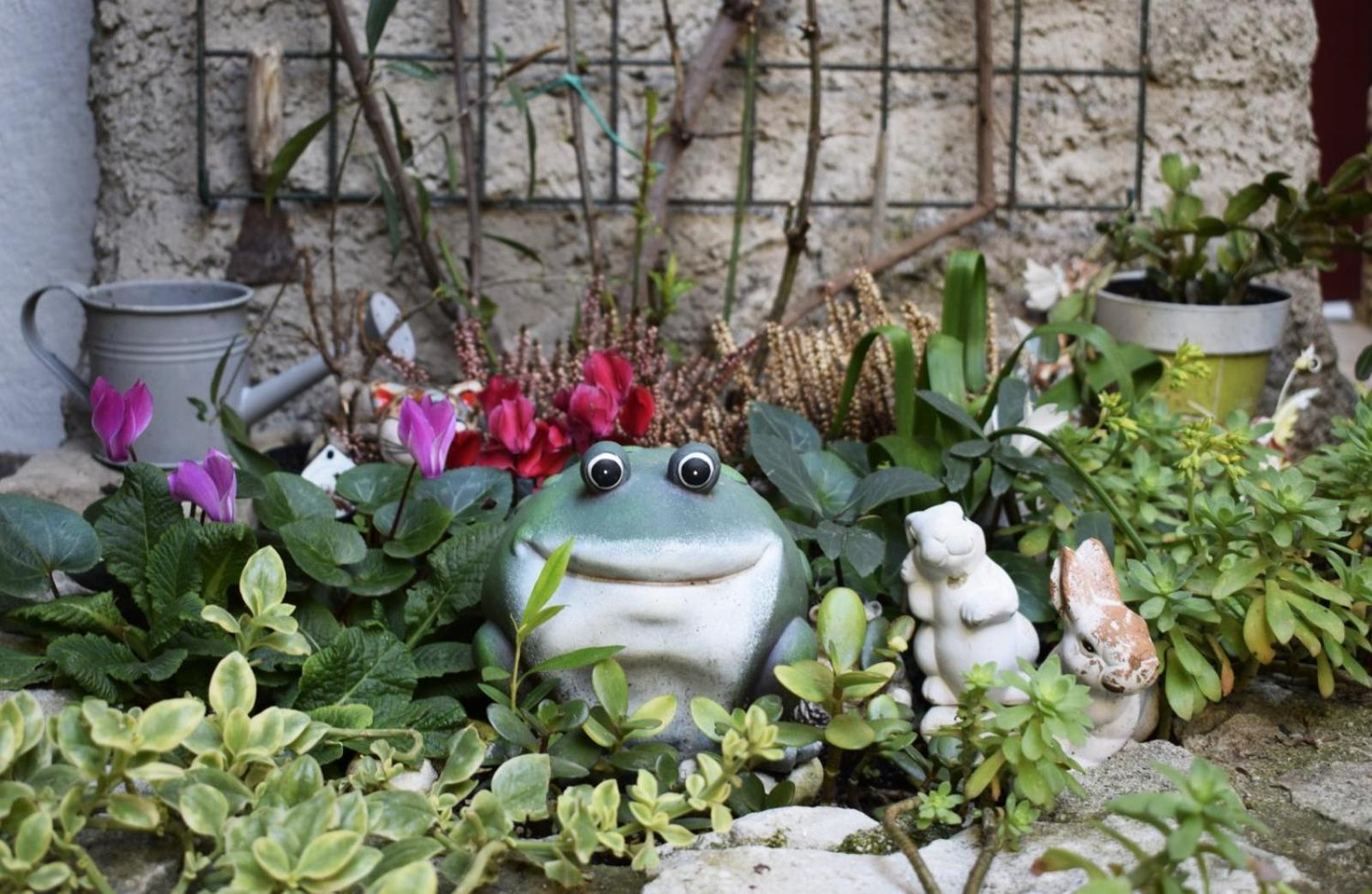 Appartamento Anna Brenzone sul Garda Buitenkant foto